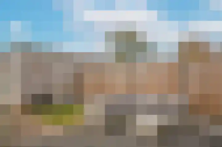 de Bennenmaker 1 Maasbommel thumbnail 39