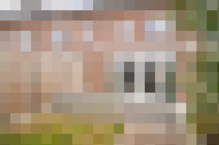 de Bennenmaker 1 Maasbommel thumbnail 40