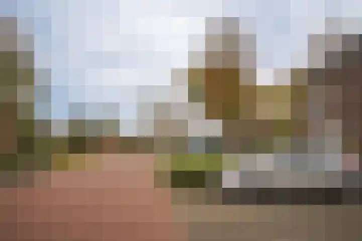 de Bennenmaker 1 Maasbommel thumbnail 43