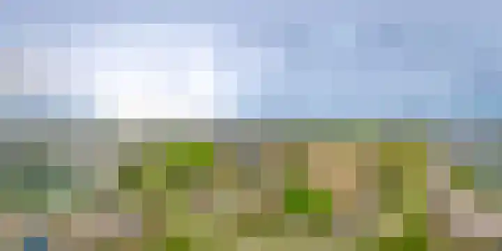 de Bennenmaker 1 Maasbommel thumbnail 46