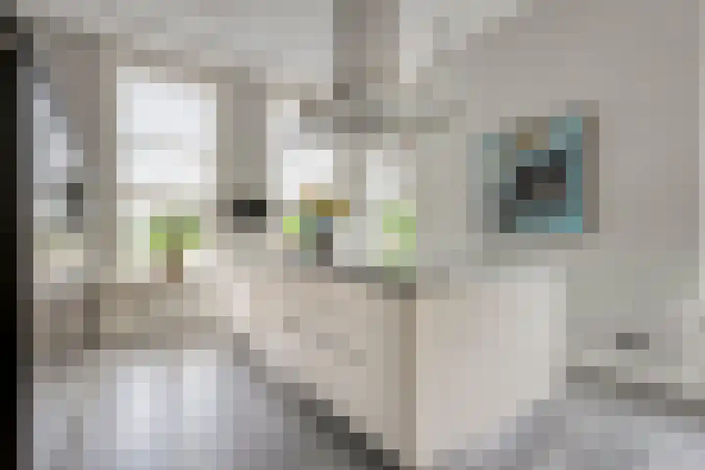 de Bente 18 Dalen thumbnail 19
