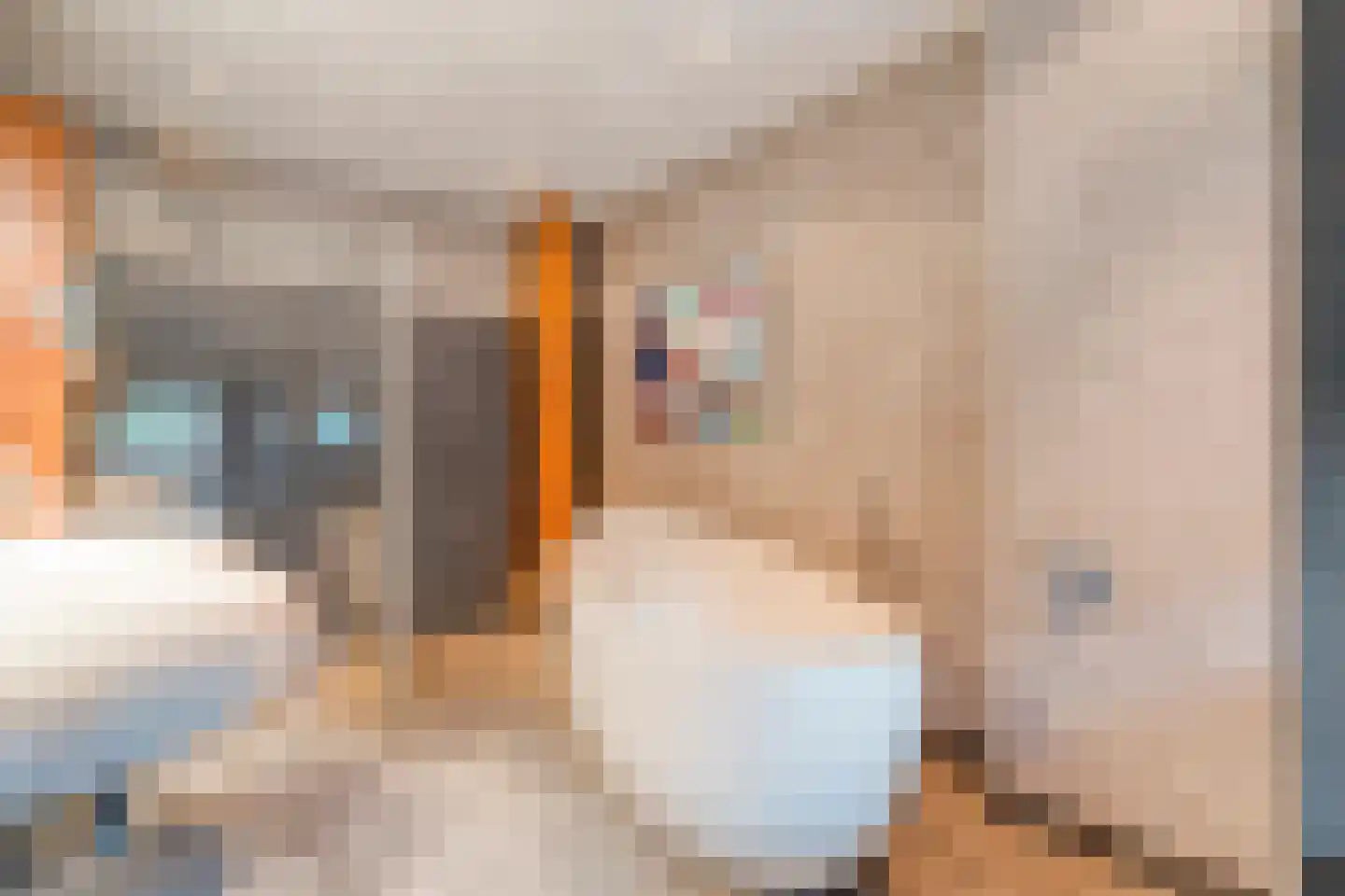 de Bente 18 Dalen thumbnail 32
