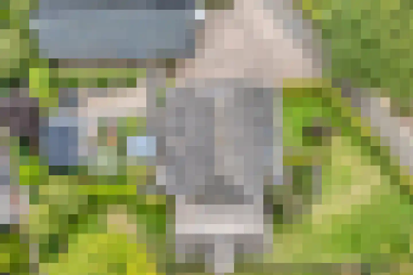 de Bente 18 Dalen thumbnail 5