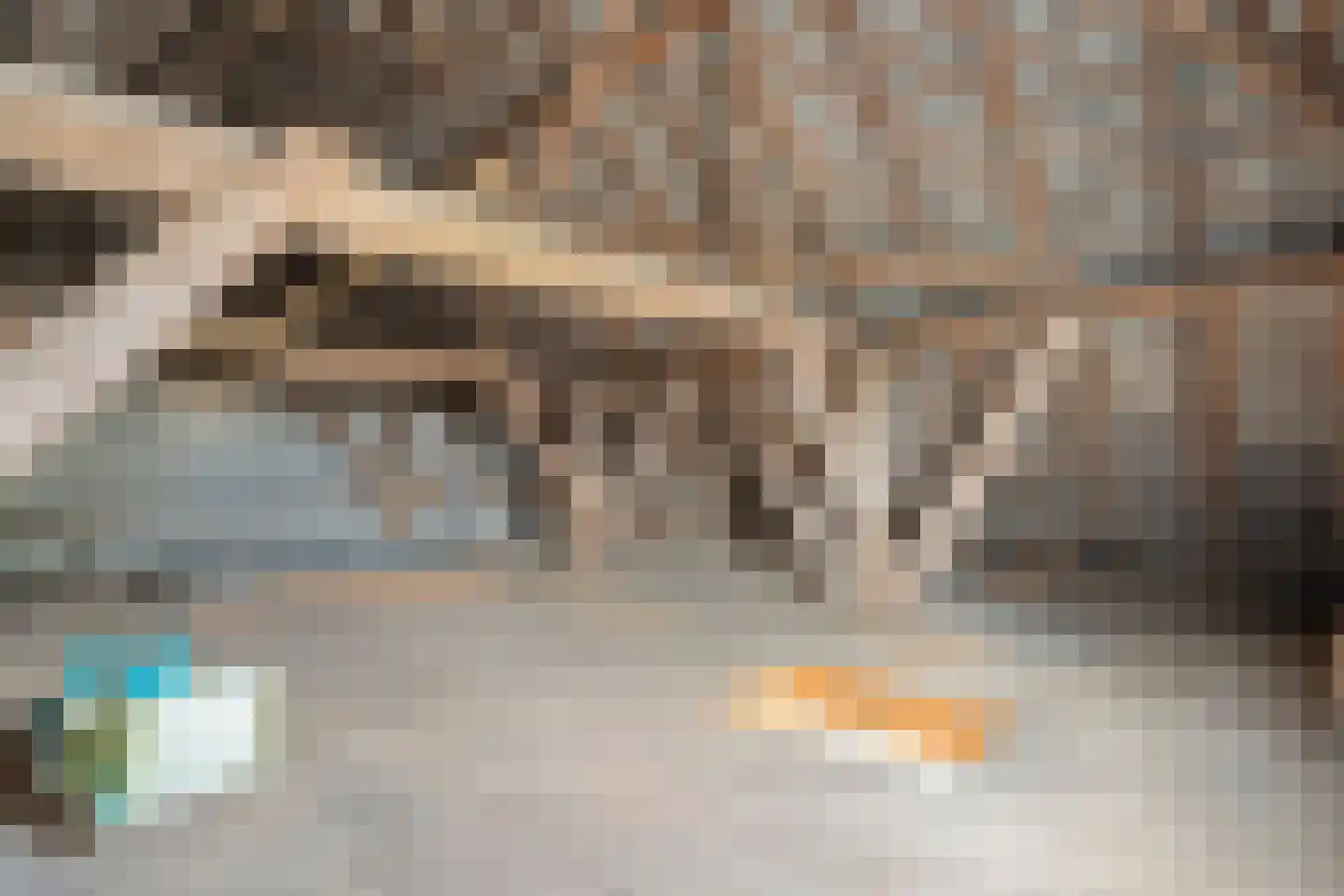 de Bente 18 Dalen thumbnail 51