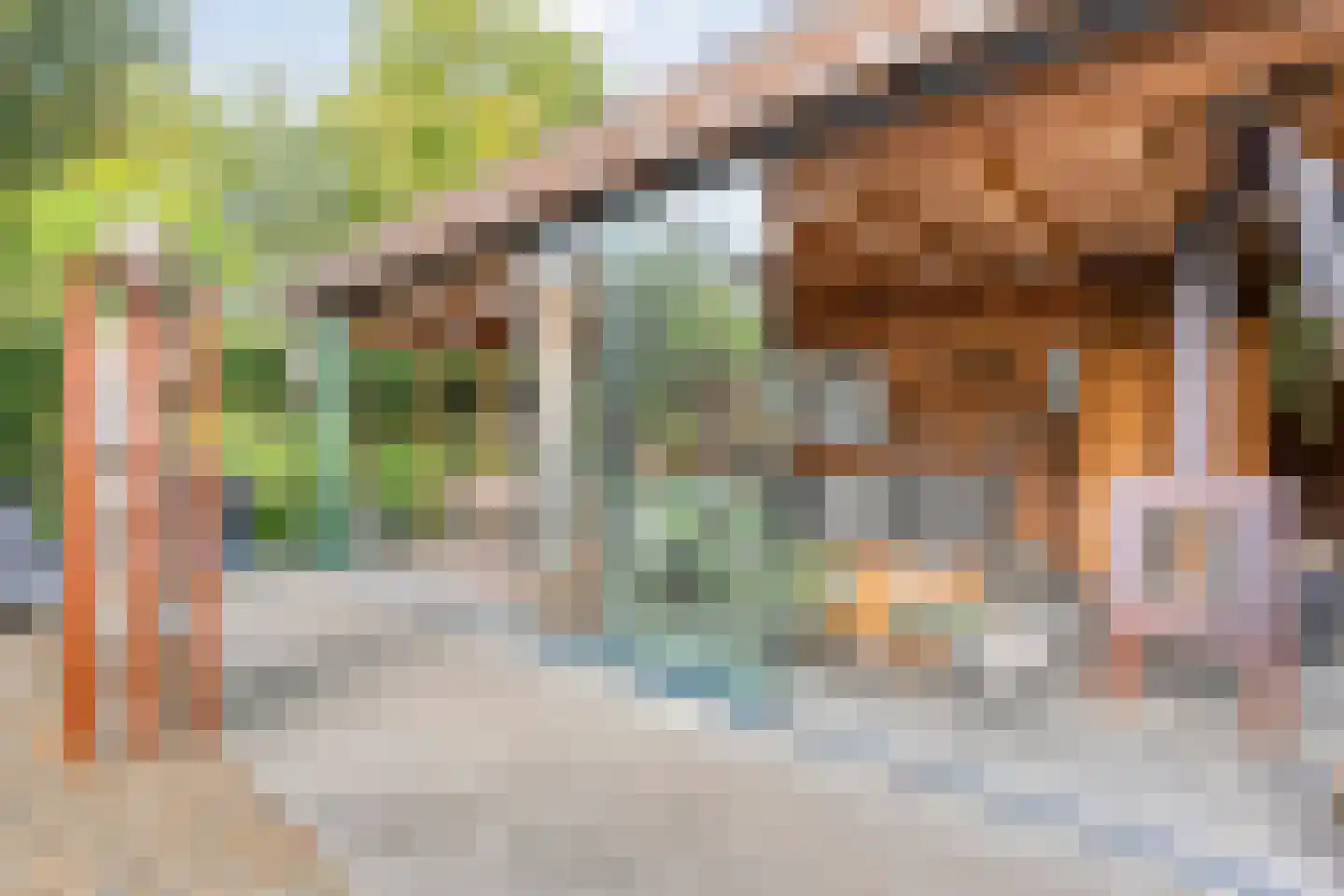 de Bente 18 Dalen thumbnail 57