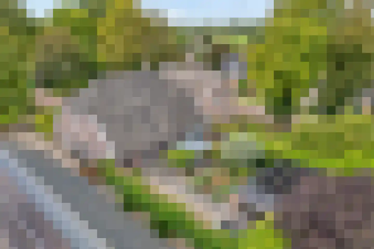 de Bente 18 Dalen thumbnail 6
