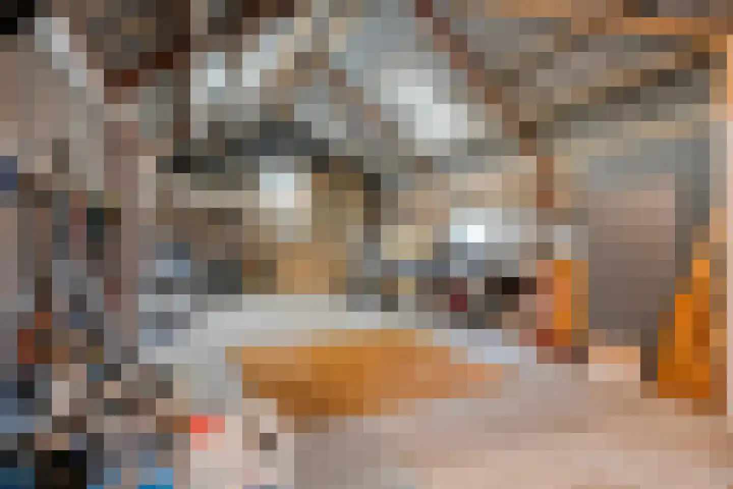 de Bente 18 Dalen thumbnail 69