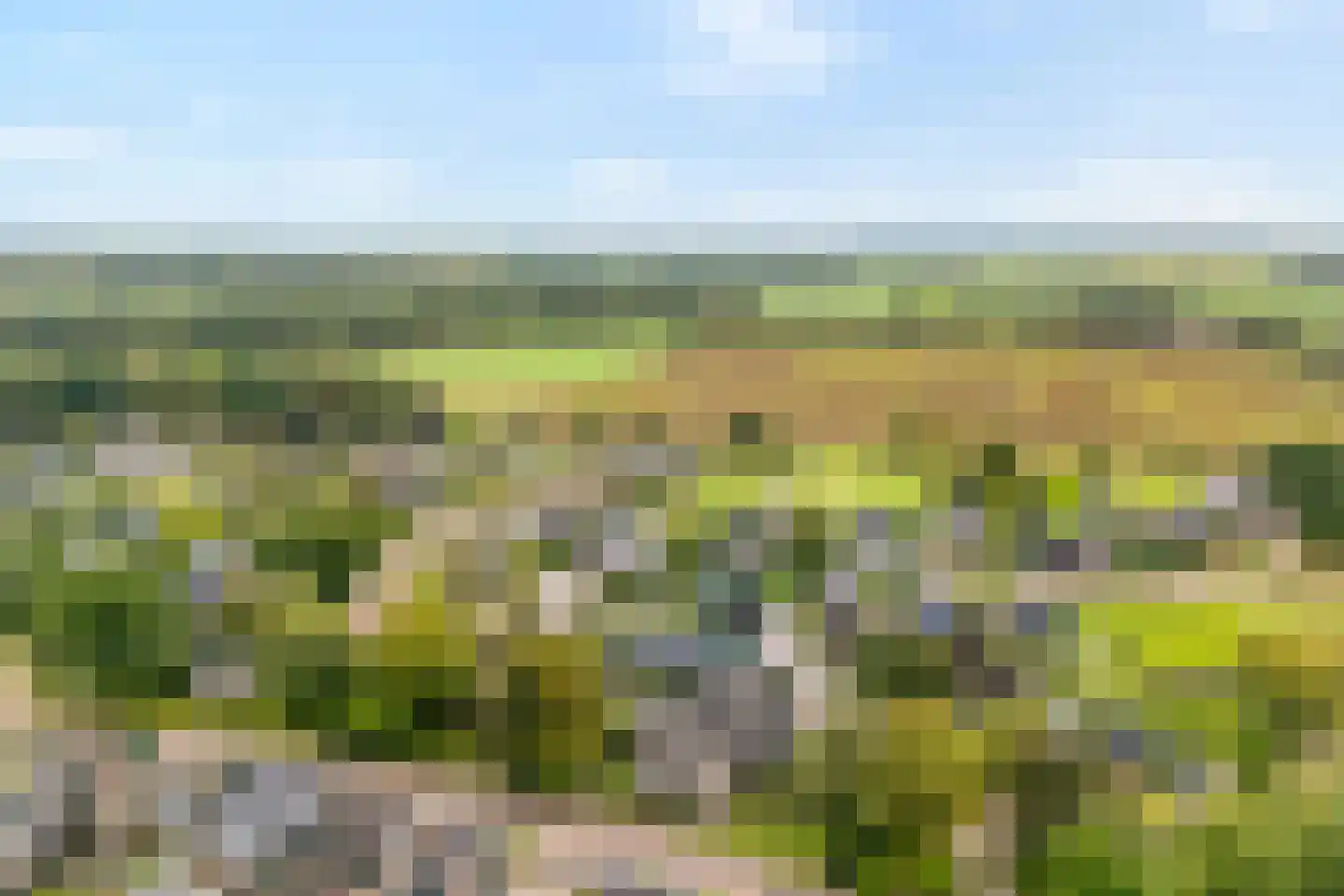 de Bente 18 Dalen thumbnail 7
