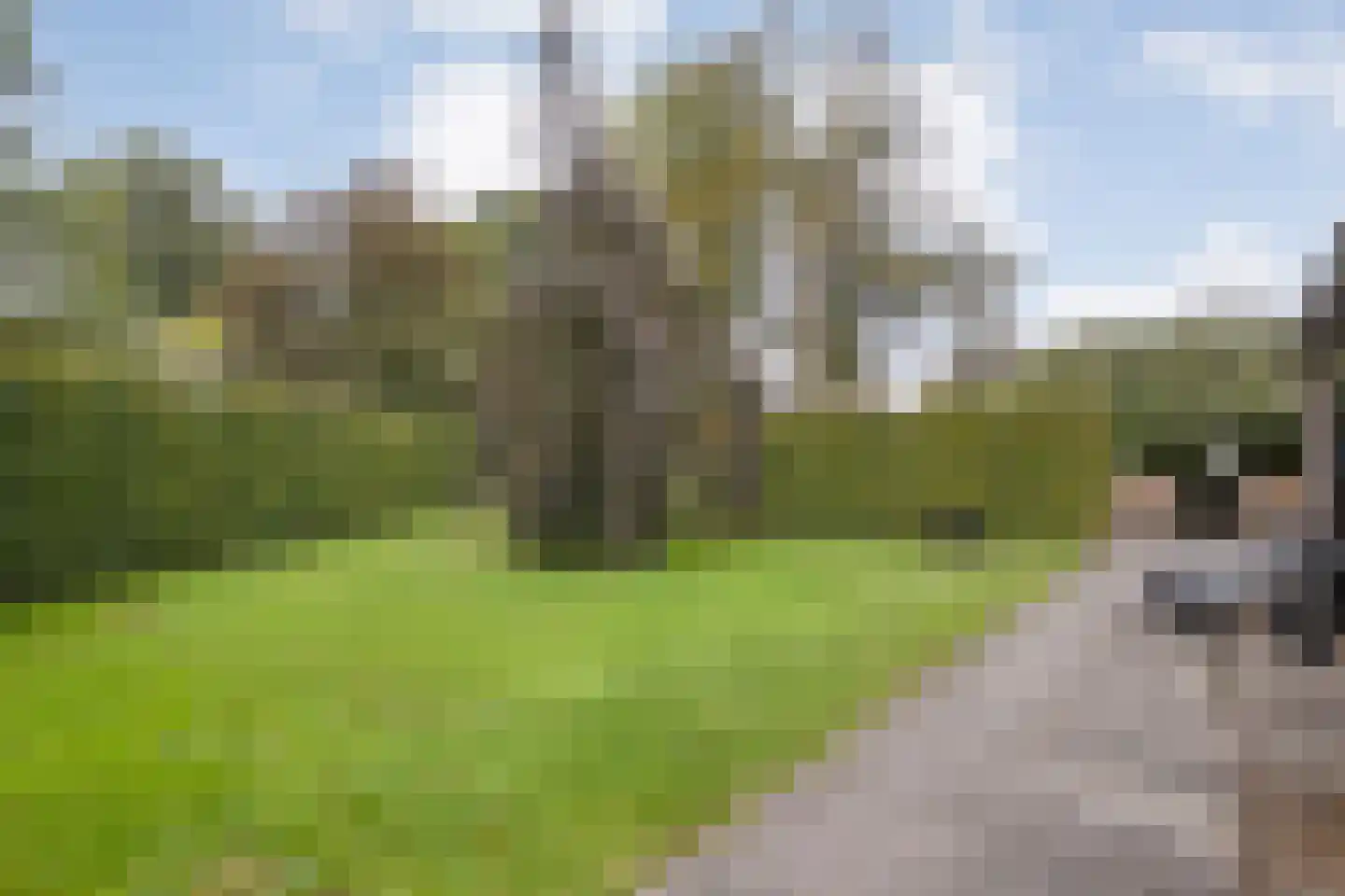de Bente 18 Dalen thumbnail 72