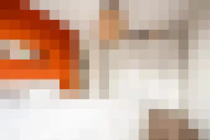 De Bente 18 Zeewolde thumbnail 24