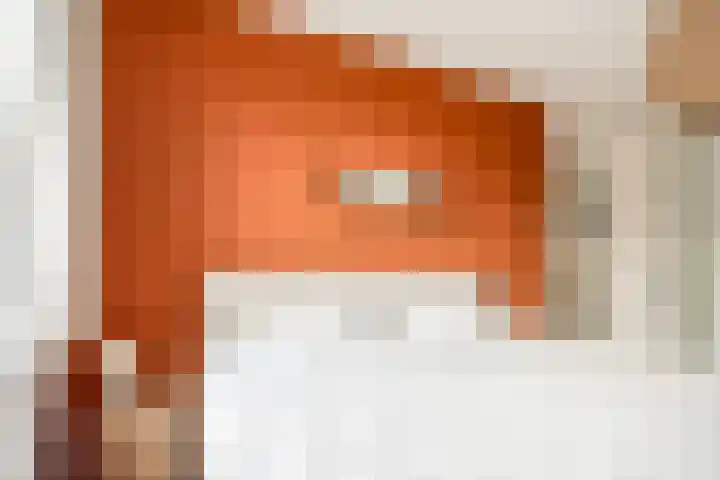 De Bente 18 Zeewolde thumbnail 25