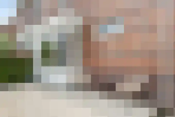 De Bente 18 Zeewolde thumbnail 57