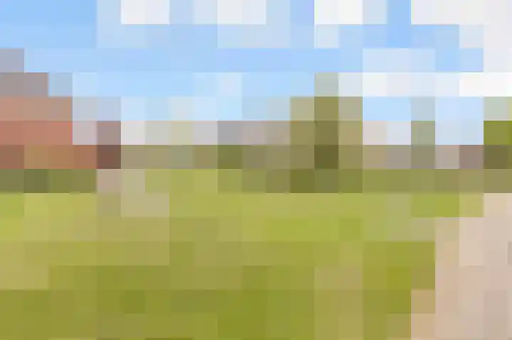 De Bente 18 Zeewolde thumbnail 60