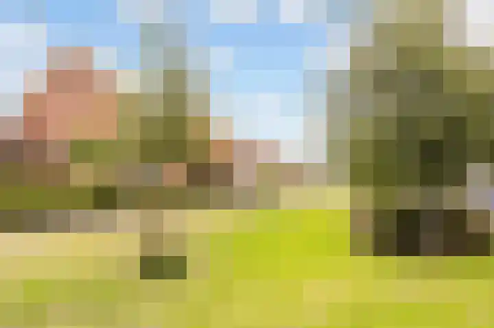 De Bente 18 Zeewolde thumbnail 61