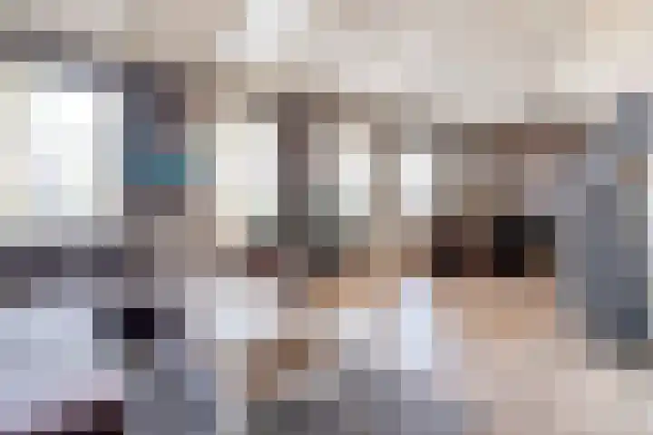 de Bente 31 Dalen thumbnail 10
