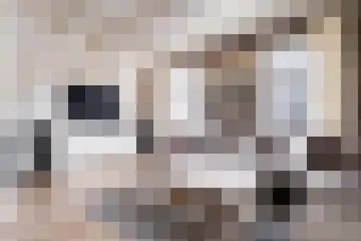 de Bente 31 Dalen thumbnail 11