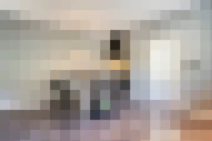 de Bente 31 Dalen thumbnail 15