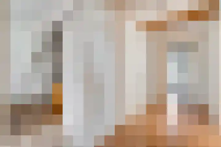 de Bente 31 Dalen thumbnail 25