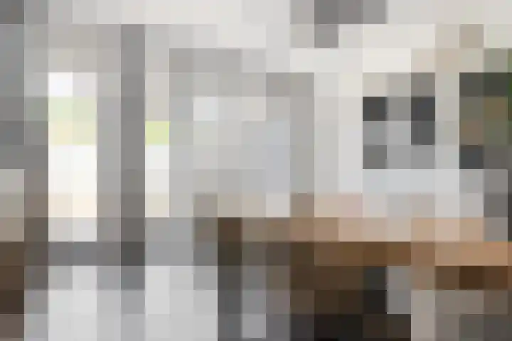 de Bente 31 Dalen thumbnail 38