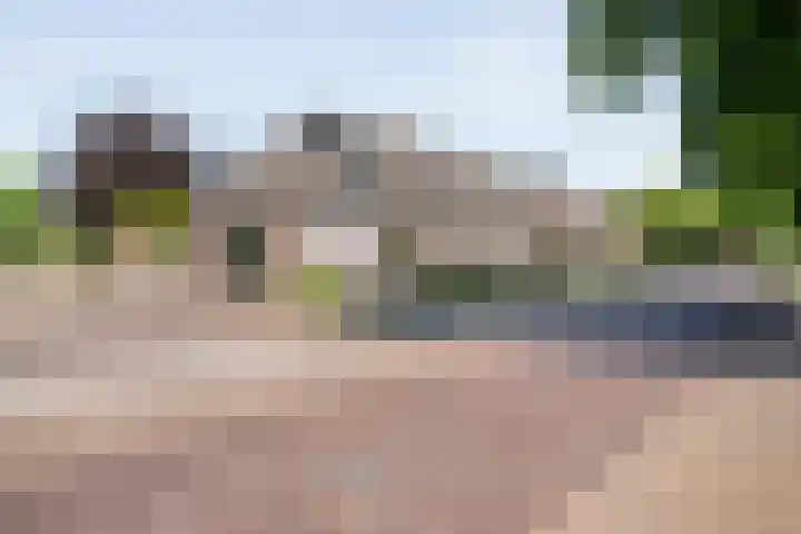 de Bente 31 Dalen thumbnail 4