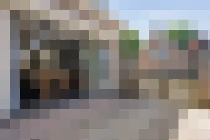 de Bente 31 Dalen thumbnail 41