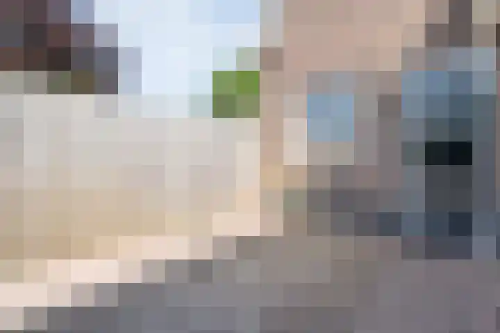 de Bente 31 Dalen thumbnail 43
