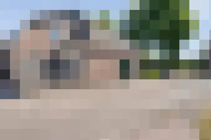 de Bente 31 Dalen thumbnail 44