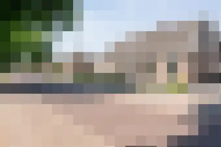 de Bente 31 Dalen thumbnail 5