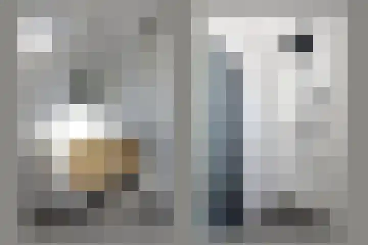 De Bente 32 Zeewolde thumbnail 17