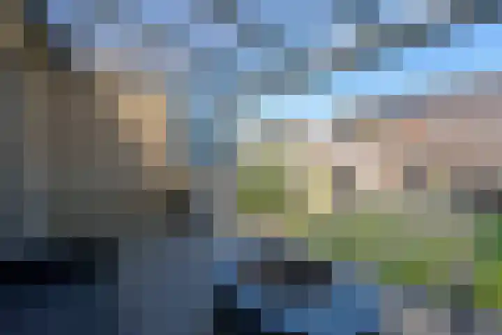 De Bente 32 Zeewolde thumbnail 23