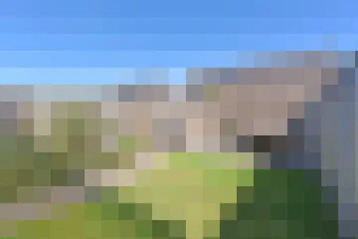 De Bente 32 Zeewolde thumbnail 24