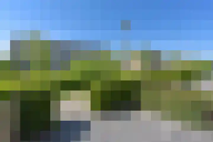 De Bente 32 Zeewolde thumbnail 27