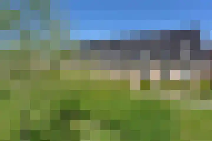 De Bente 32 Zeewolde thumbnail 29
