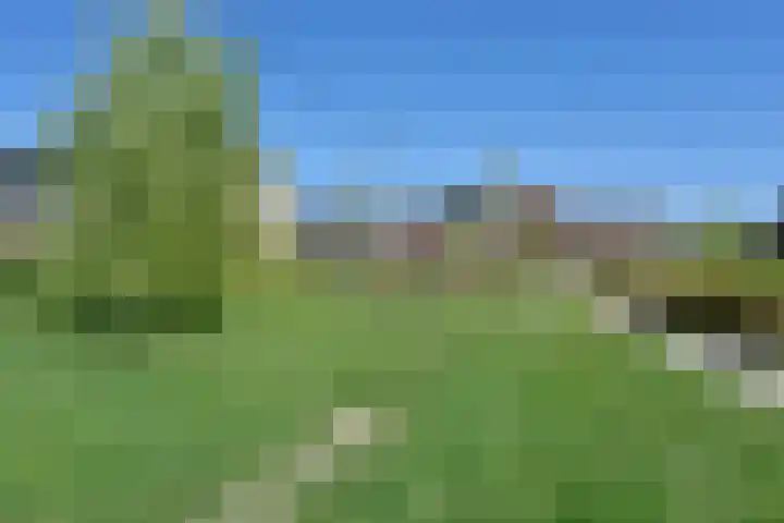 De Bente 32 Zeewolde thumbnail 31