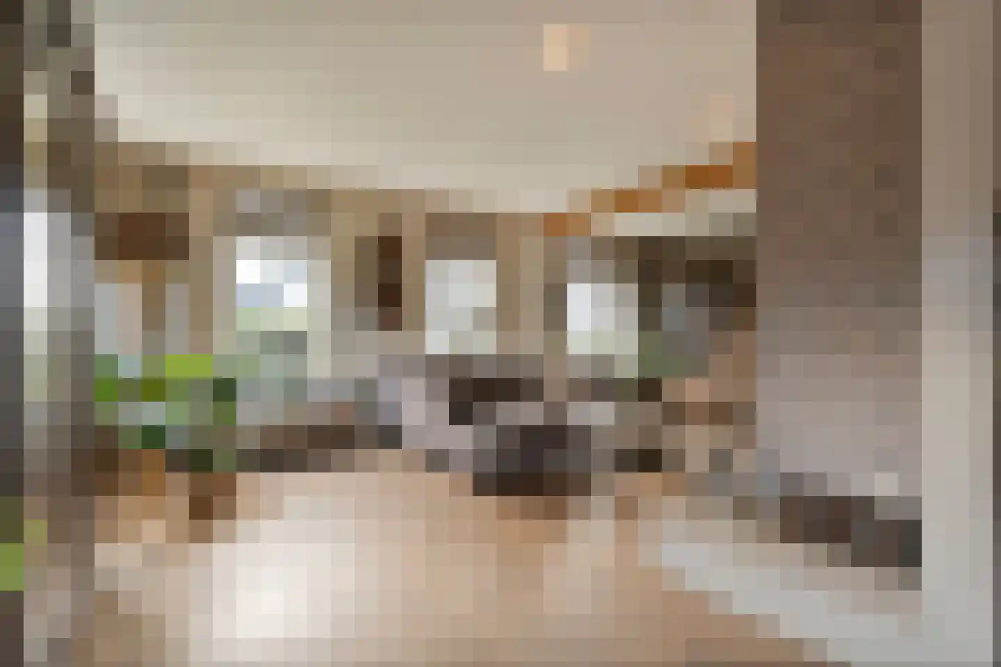 de Bente 33 a Dalen thumbnail 11