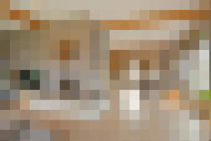de Bente 33 a Dalen thumbnail 12