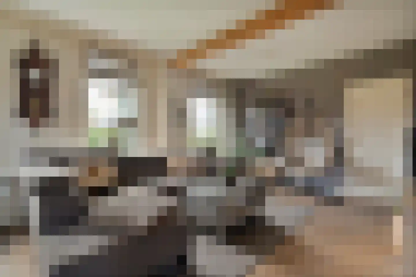 de Bente 33 a Dalen thumbnail 13