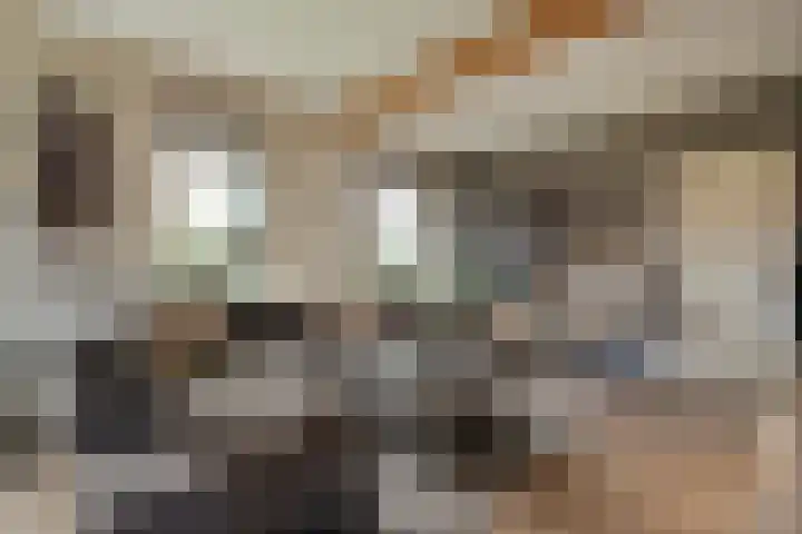 de Bente 33 a Dalen thumbnail 13