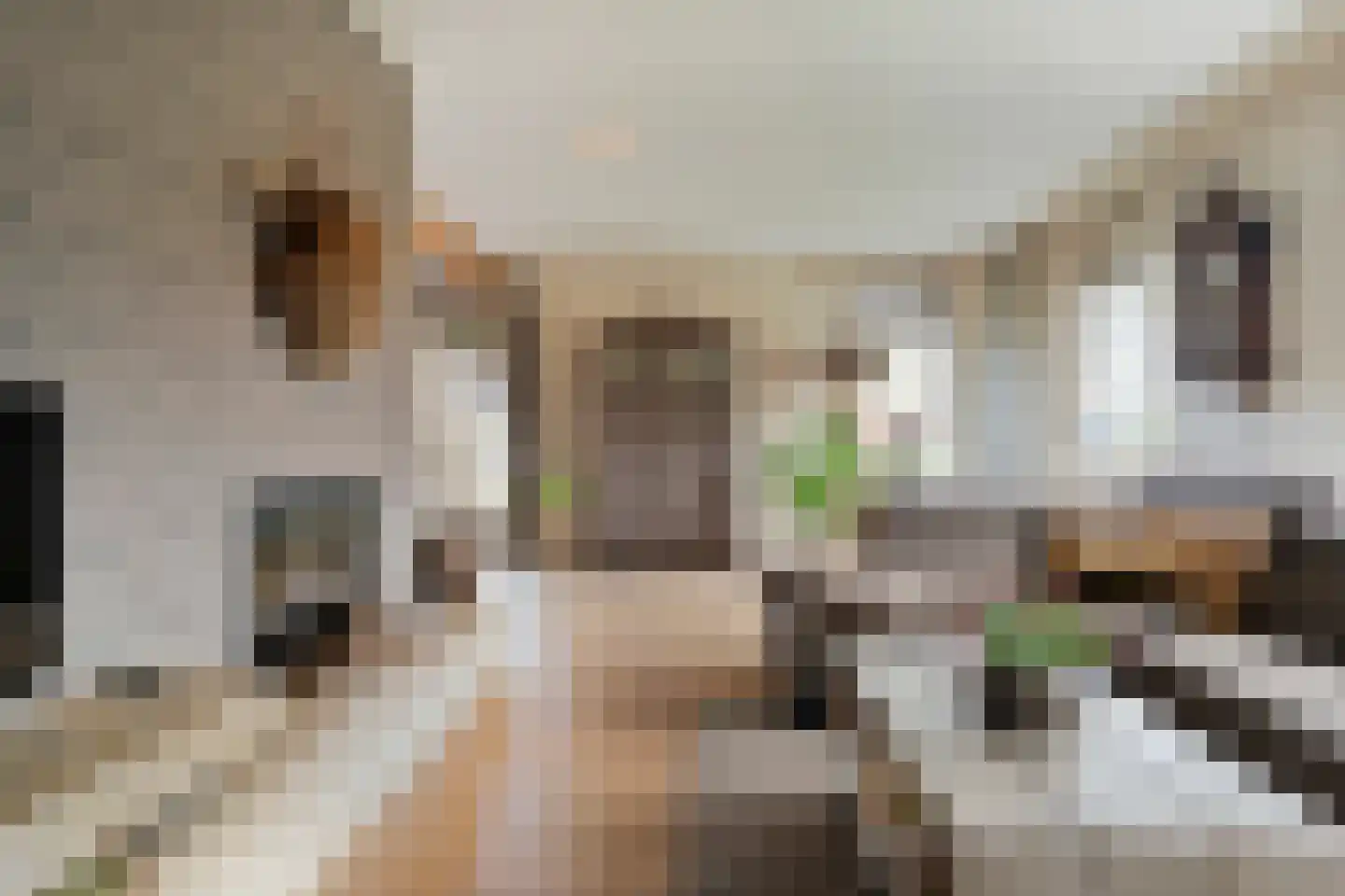 de Bente 33 a Dalen thumbnail 14
