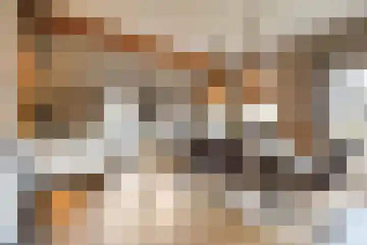de Bente 33 a Dalen thumbnail 16