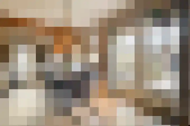 de Bente 33 a Dalen thumbnail 18