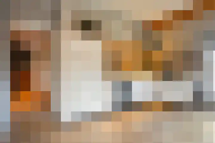 de Bente 33 a Dalen thumbnail 19