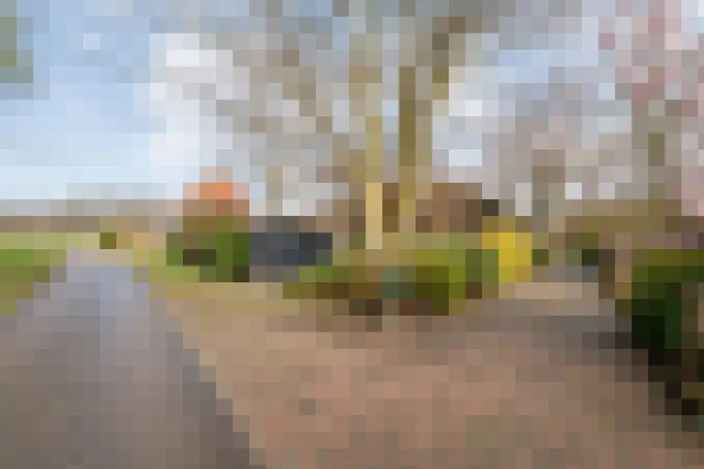 de Bente 33 a Dalen foto 2