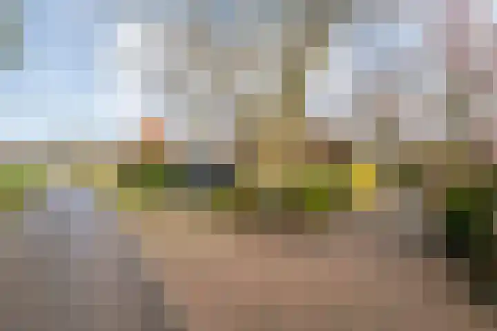 de Bente 33 a Dalen foto 2