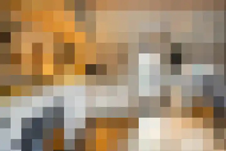 de Bente 33 a Dalen thumbnail 21