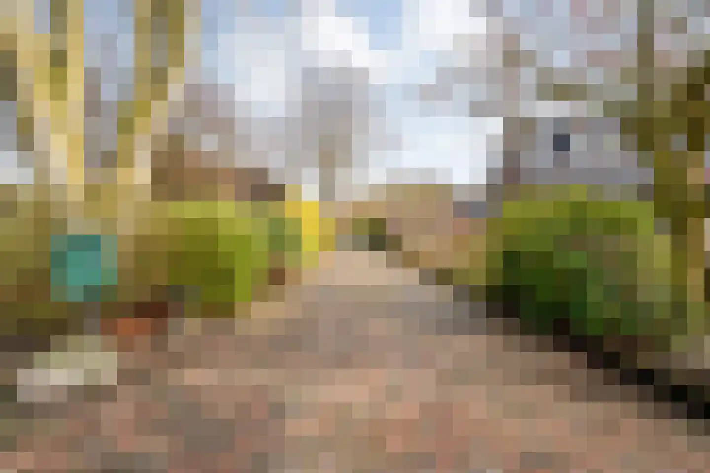 de Bente 33 a Dalen foto 3