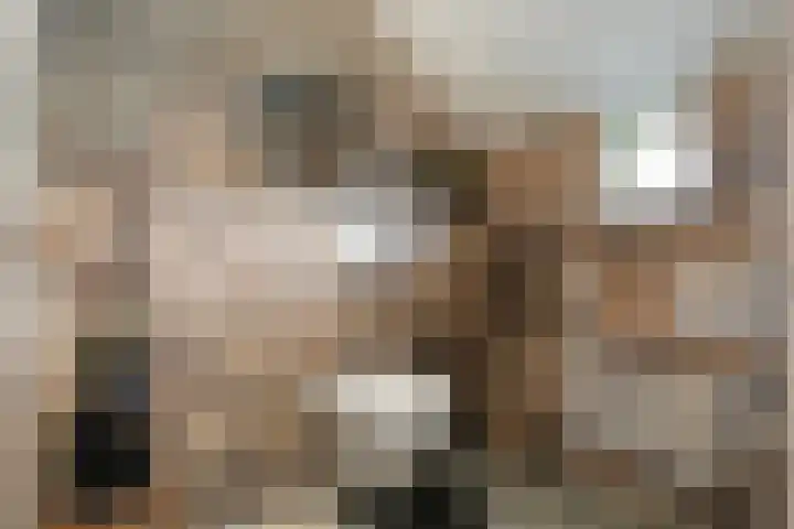 de Bente 33 a Dalen thumbnail 30