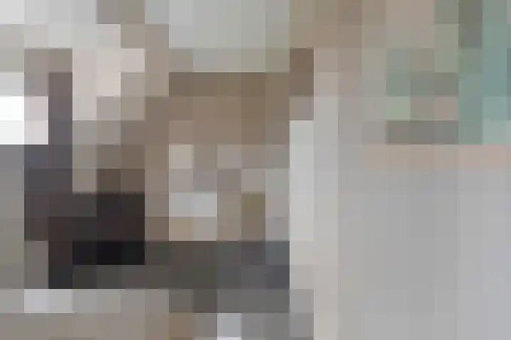 de Bente 33 a Dalen thumbnail 33