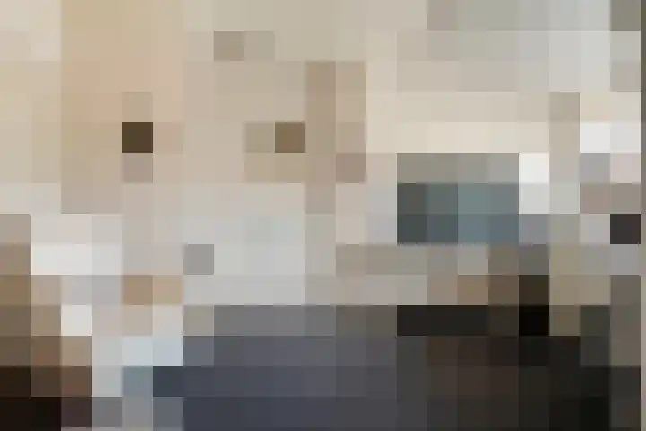 de Bente 33 a Dalen thumbnail 35