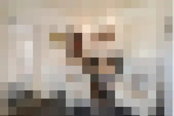de Bente 33 a Dalen thumbnail 36